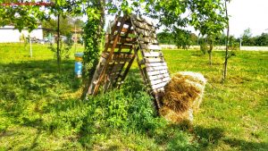 Innamorati in Viaggio in Fattoria didattica a Vigonovo 8