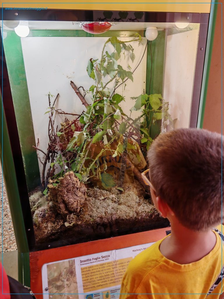 Una delle vasche del Museo Interattivo Vivente di Esapolis