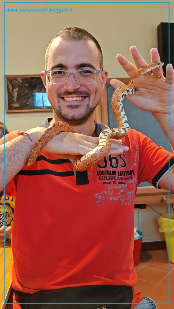Serpente del Museo Interattivo Vivente di Padova