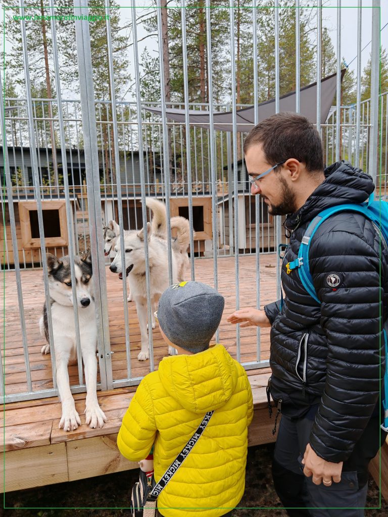 i primi husky che abbiamo conosciuto