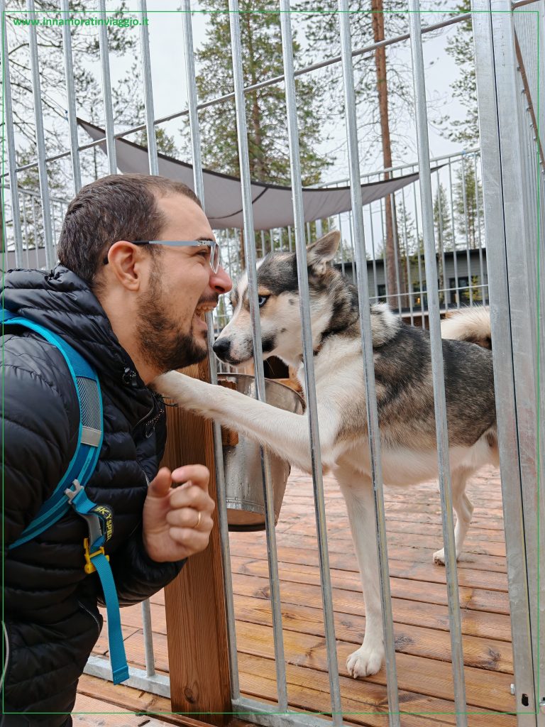 Momento coccole durante la visita