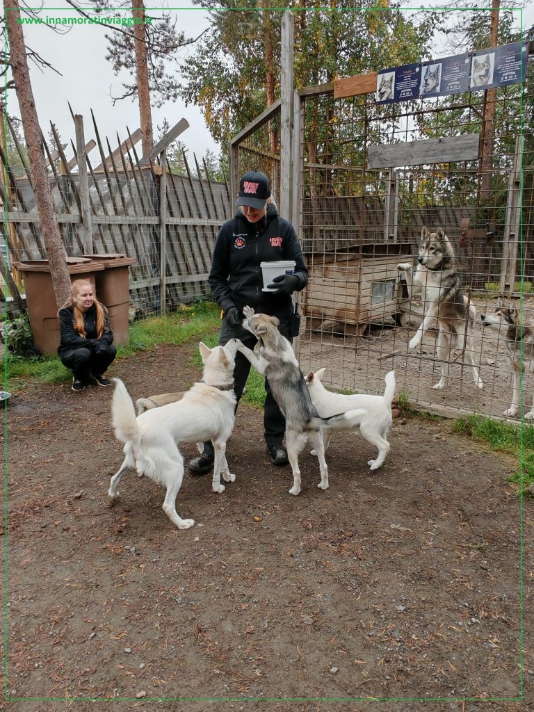 Visita guidata all'Husky Park