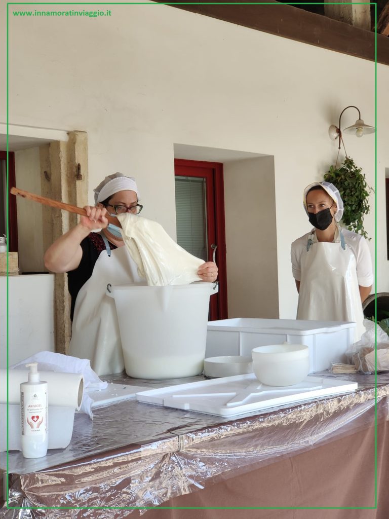 Preparazione della mozzarella al Caseificio Sapori di Montegnaco