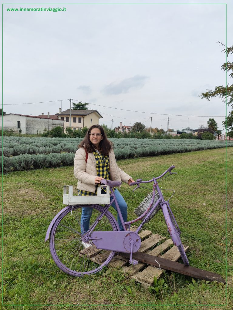 Laboratorio di lavanda alla fattoria A piedi scalzi