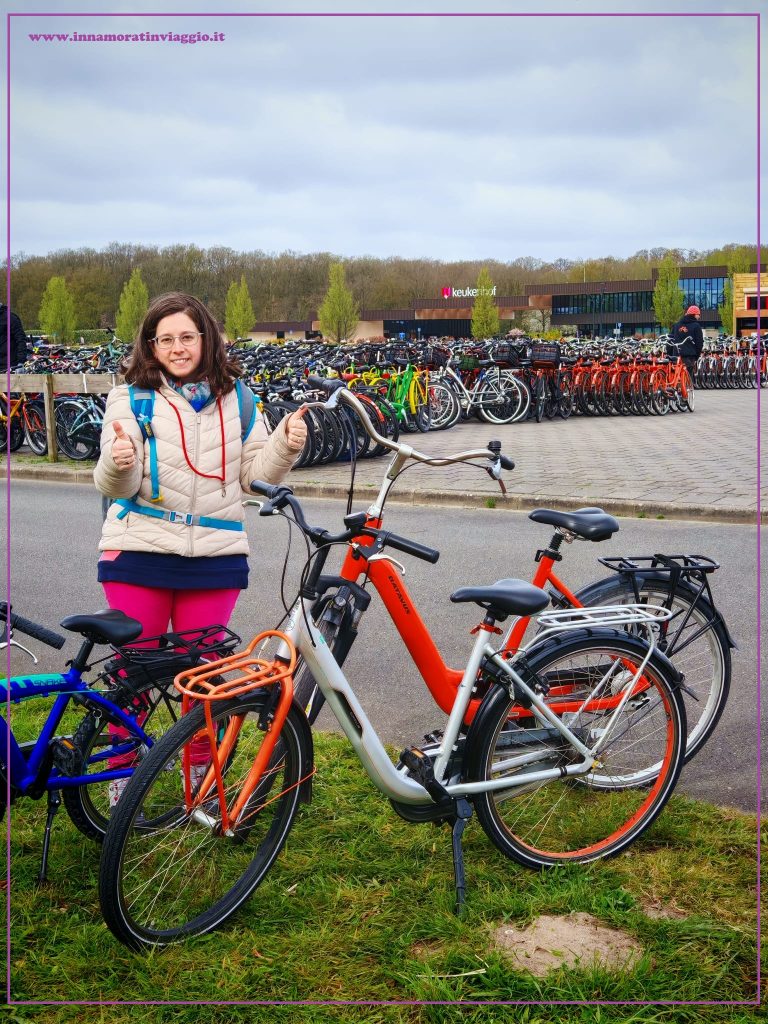 Noleggi biciclette nei Paesi Bassi