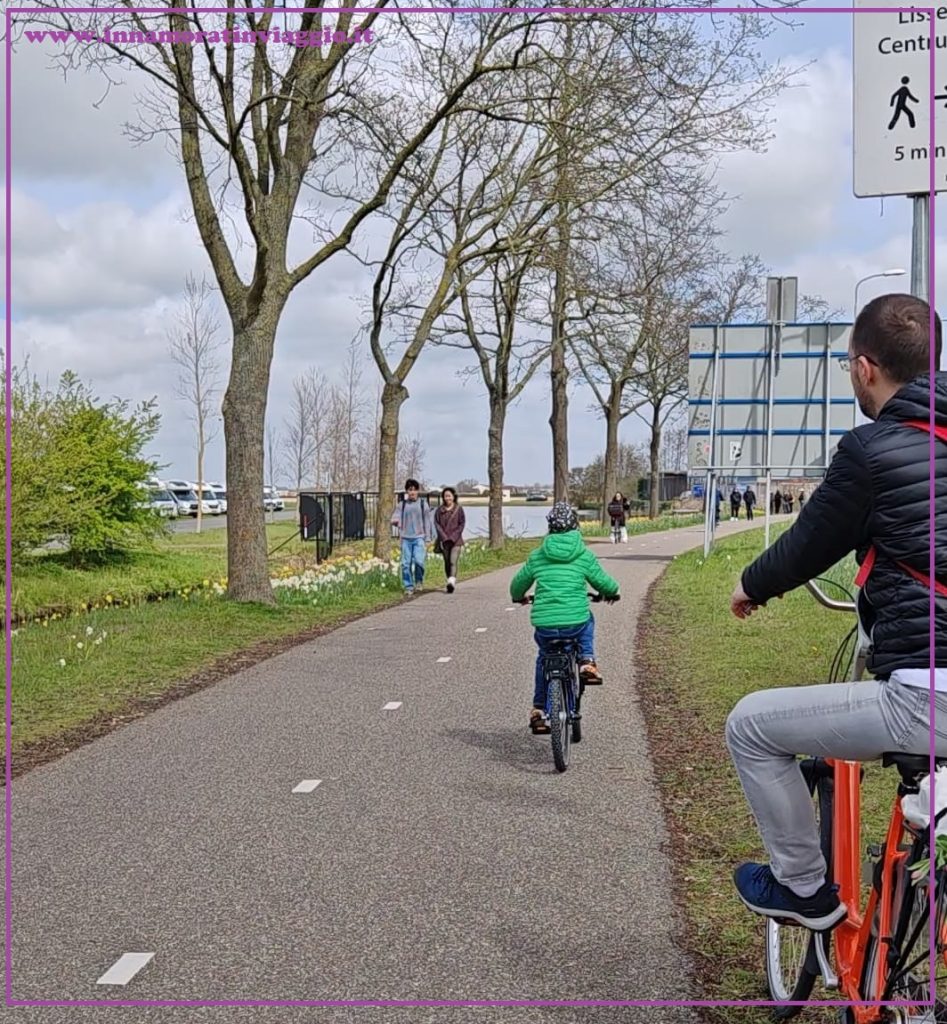 Ciclabile dei tulipani in Olanda