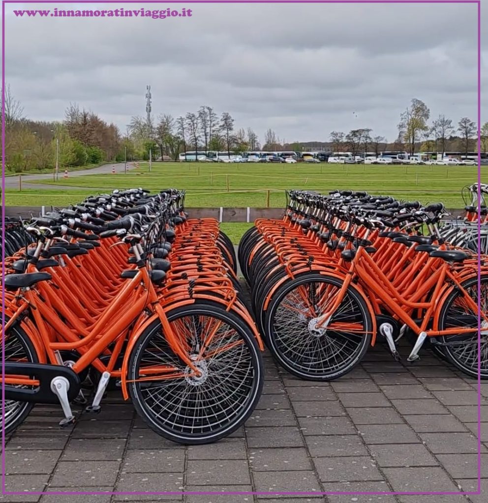 Noleggio Rent a bike Keukenhof