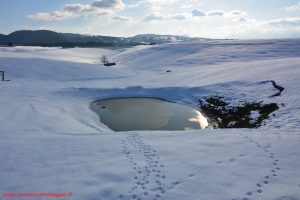Asiago, Innamorati in Viaggio (16)