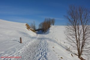 Asiago, Innamorati in viaggio (25)