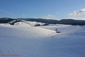 Asiago, innamorati in Viaggio (18)
