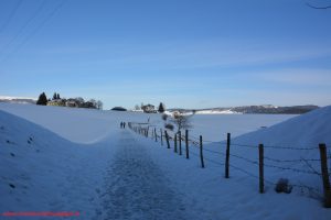 Asiago, innamorati in viaggio (20)