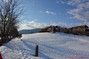 Asiago, innamorati in viaggio (27)