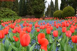 Innamorati in Viaggio, Parco Giardino Sigurtà 1