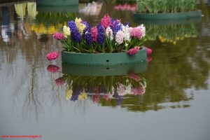 Innamorati in Viaggio, Parco Sigurtà 9