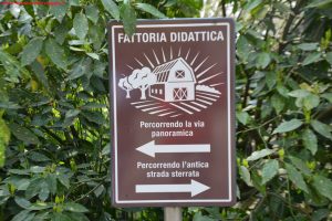 Innamorati in Viaggio, Parco Sigurtà 7
