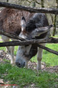 Innamorati in Viaggio, Parco Sigurtà 7