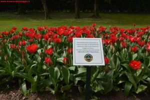 Innamorati in Viaggio, Parco Giardino Sigurtà 4