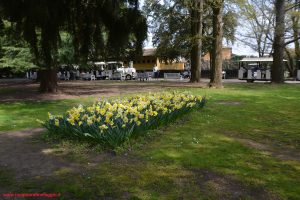 Innamorati in Viaggio, Parco Giardino Sigurtà 6