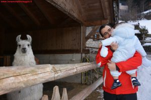 Viaggiare con bambini da 0 a 18 mesi Innamorati in Viaggio 2
