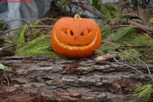 Innamorati in Viaggio, Halloween, Este da Brividi 5