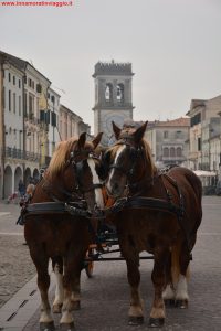 Innamorati in Viaggio, Halloween, Este da Brividi 9