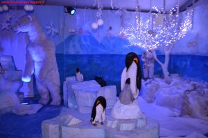 Natale in Toscana a Montecatini Terme, Innamorati in Viaggio 7
