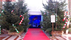 Natale in Toscana a Montecatini Terme, Innamorati in Viaggio 6