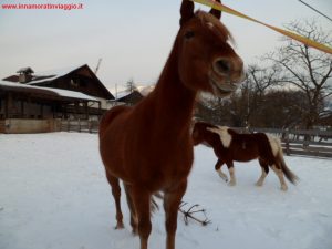 Innamorati in Viaggio, Weekend in Tirolo 2