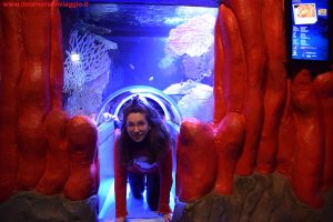 SEA LIFE Jesolo, Innamorati in Viaggio 6