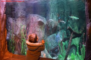 SEA LIFE Jesolo, Innamorati in Viaggio 2
