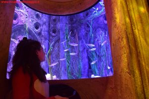 SEA LIFE Jesolo, Innamorati in Viaggio 1