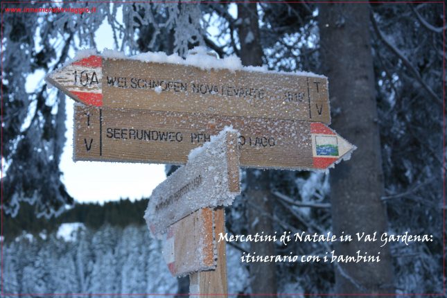 Mercatini in Val Gardena, Lago di Carezza, Innamorati in Viaggio (15), copertina