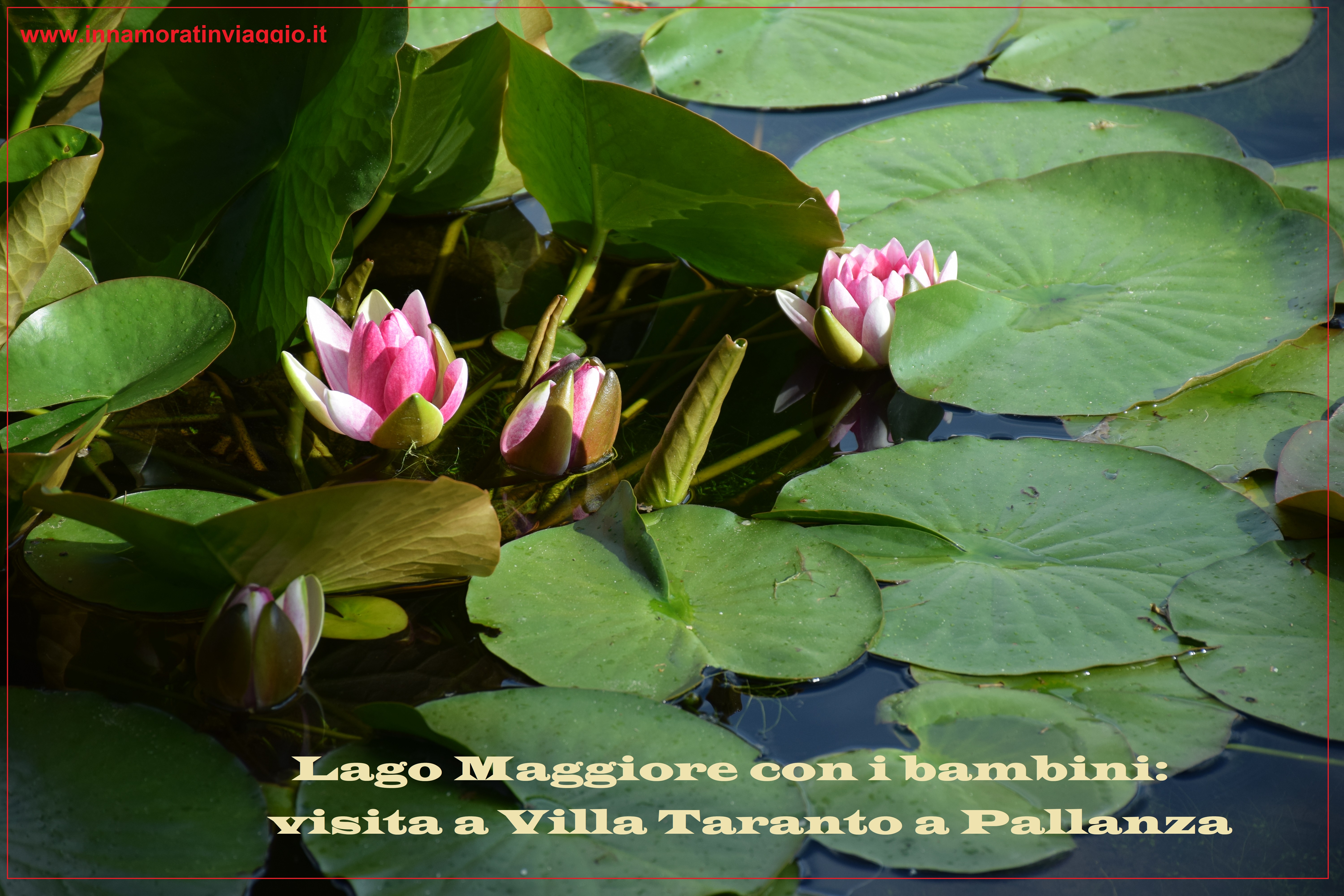 Copertina, Villa taranto, Innamorati in Viaggio