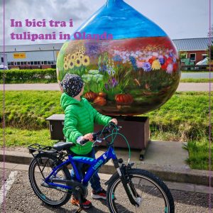 In bici tra i tulipani in Olanda - innamoratinviaggio