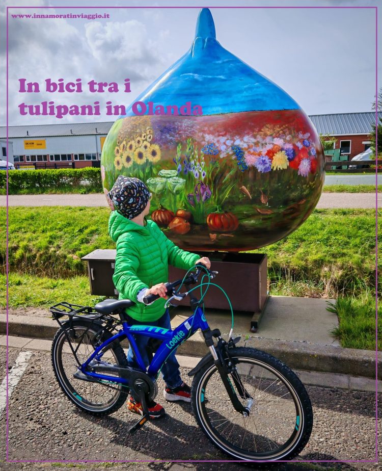 In bici tra i tulipani in Olanda - innamoratinviaggio